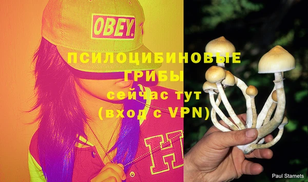 марихуана Богородицк